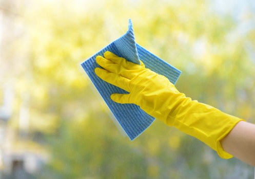 Professional upholstery cleaning in Millwall for a fresh sofa