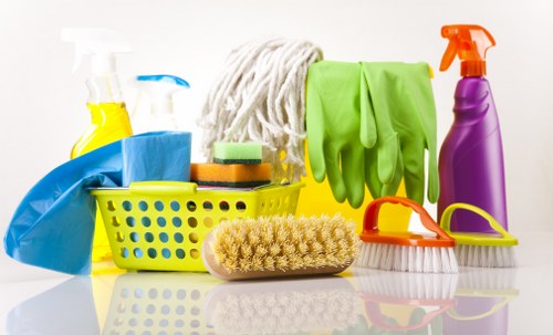 Professional carpet cleaner in Millwall beginning a deep clean service