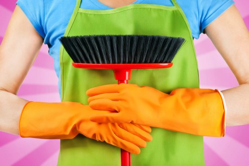 Modern carpet cleaning equipment used by Millwall carpet cleaners