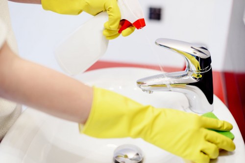 Carpet cleaners in Millwall improving indoor air quality