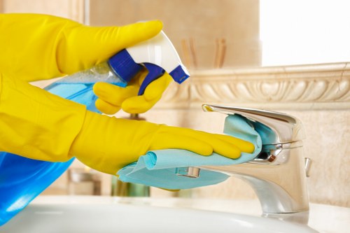 Different sofa fabrics requiring tailored cleaning methods in Millwall