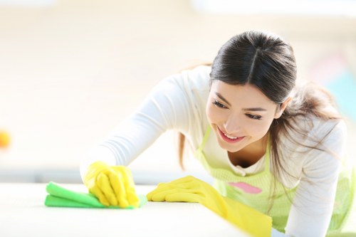 Enzyme cleaning process for pet odour removal in a Millwall home