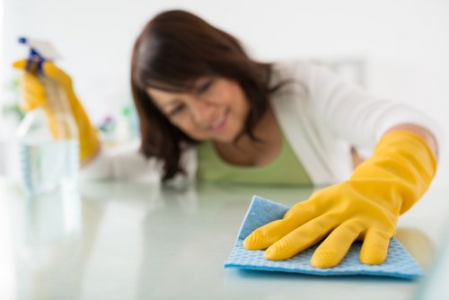 Deep upholstery cleaning process for a sofa in Millwall home