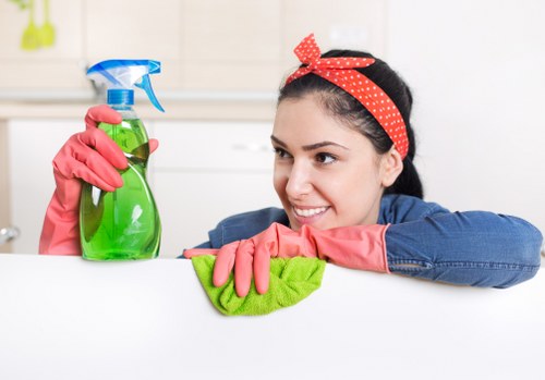 Spot treatment and carpet care in a Millwall workplace