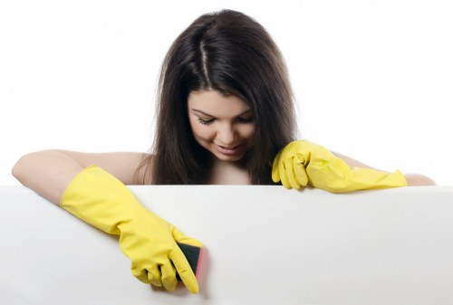 Inclusive local carpet cleaning website content for Millwall visitors
