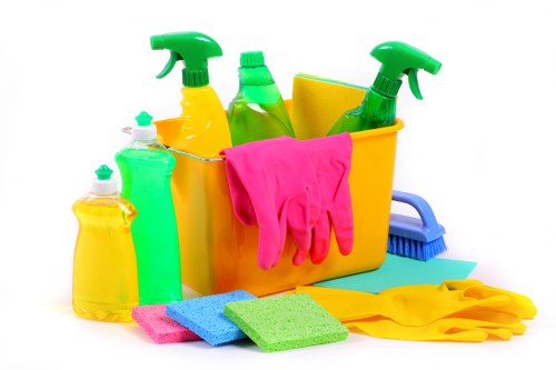 Stain removal and fabric care for upholstery in Millwall
